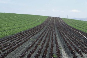 USDA looks to change definition of "rural" for funding | Apache