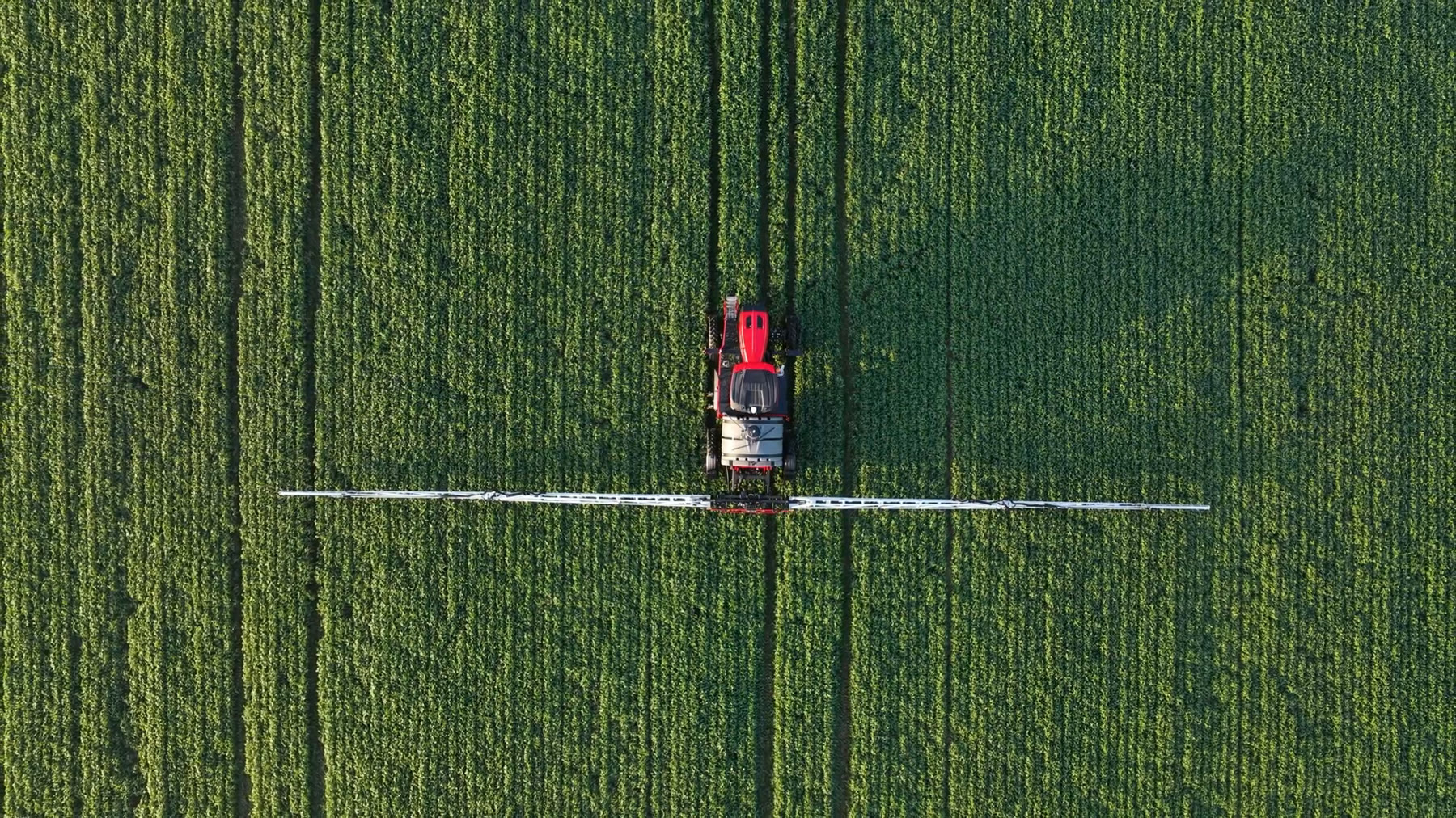 Aerial view of an Apache AS1260 spraying a field